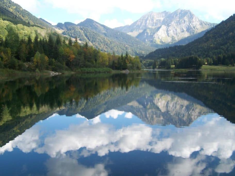 Appartement Montagne La Vallee Verte Coeur Station Hirmentaz Bellevaux Zewnętrze zdjęcie