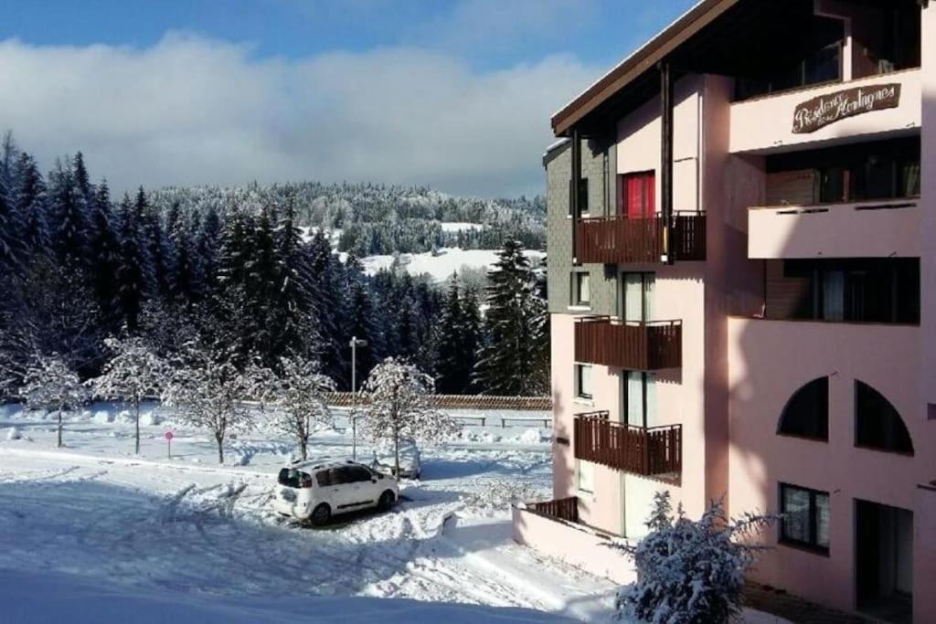 Appartement Montagne La Vallee Verte Coeur Station Hirmentaz Bellevaux Zewnętrze zdjęcie