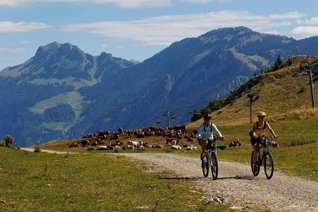Appartement Montagne La Vallee Verte Coeur Station Hirmentaz Bellevaux Zewnętrze zdjęcie